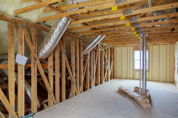 Insulation Inspection Services in Louisa, KY